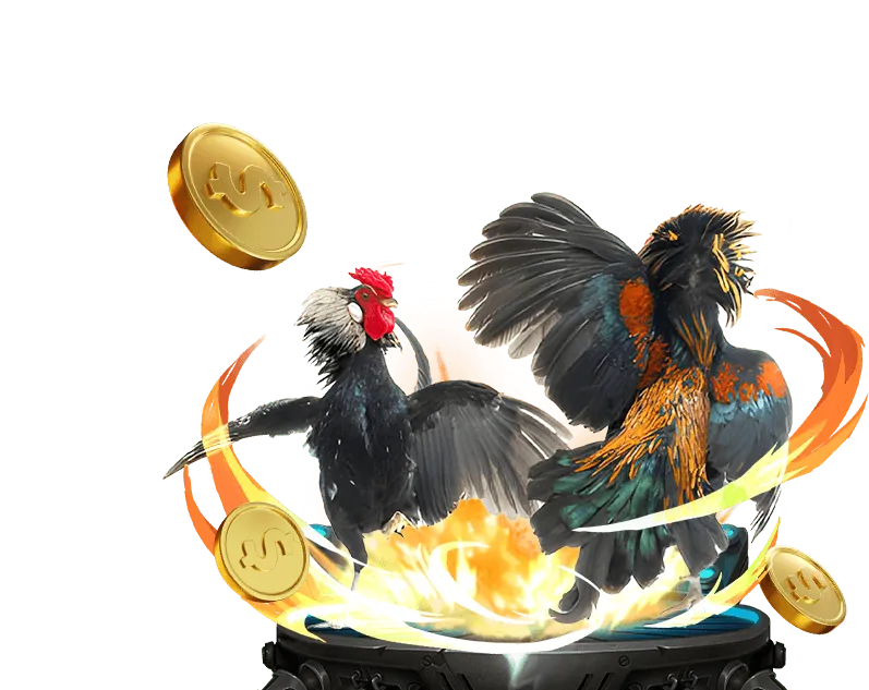 Hướng dẫn chi tiết cách cá cược đá gà cam 67 trực tuyến