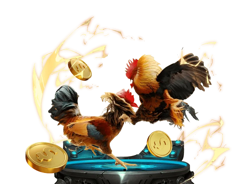 Hỗ trợ đối tác chuyên nghiệp